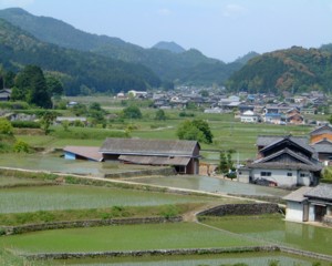 図書館から望む三重県勢和村の集落（2005.5.21）