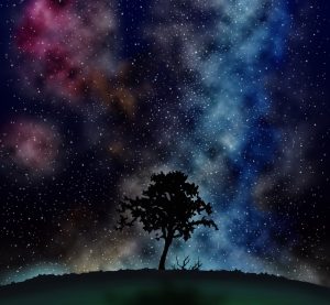 樹木と星空（赤・青）