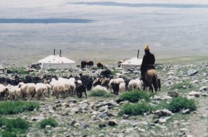東ボグド高山、ヤギを追う遊牧民