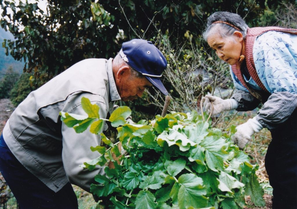 写真3-3 杉山一市さん・富枝さん夫妻（2001年晩秋）