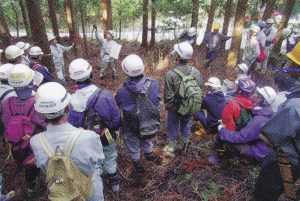 写真4-3 伐採体験ツアー