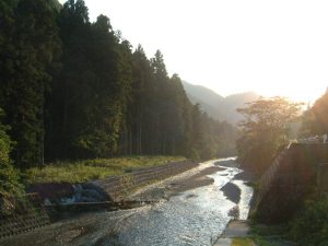 犬上川北流（2011.9.8夕方）