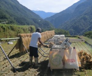 山中の田んぼでの脱穀（長野県大鹿村）