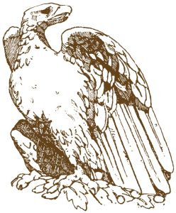 大きなワシ（銅版画調・カラー）
