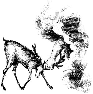 シカの角をとらえる人間の手（銅版画調・モノクロ）